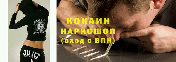 дживик Надым