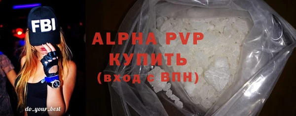 стафф Бородино