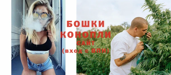 молекула духа Вязьма
