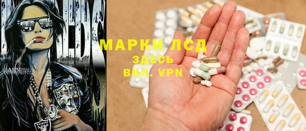 индика Заволжье