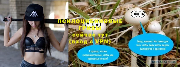 МДМА Заволжск