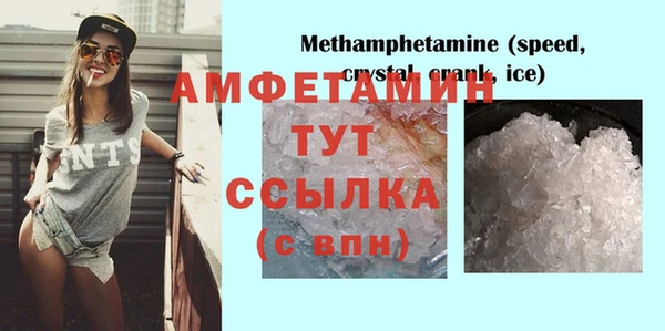 дживик Надым