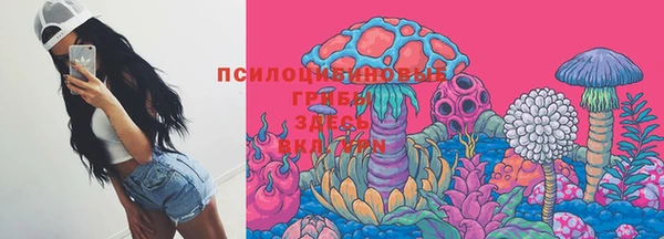 дживик Надым